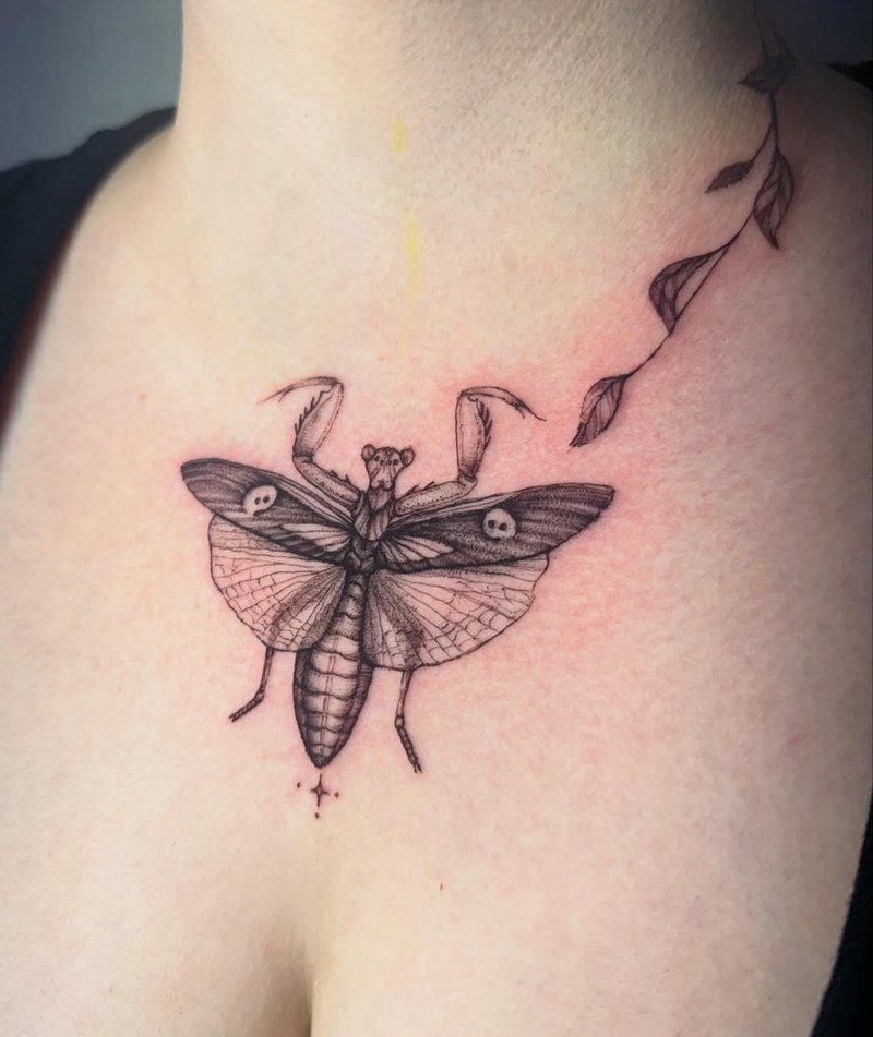 I really love this design—the shape and the majesty of the insect completely won